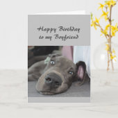 Birthday to my Boyfriend Fun Dog Kaart (Gele Bloem)