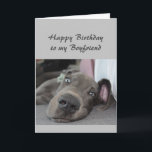 Birthday to my Boyfriend Fun Dog Kaart<br><div class="desc">Happy Birthday to my Boyfriend definition of Relax Humor Greeting with cute relaxing Great Dane Dog</div>