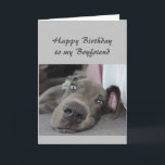 Birthday to my Boyfriend Fun Dog Kaart<br><div class="desc">Happy Birthday to my Boyfriend definition of Relax Humor Greeting with cute relaxing Great Dane Dog</div>