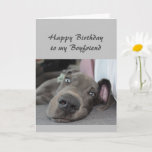 Birthday to my Boyfriend Fun Dog Relax Humor Kaart<br><div class="desc">Happy Birthday to my Boyfriend definition of Relax Humor Greeting with cute relaxing Great Dane Dog</div>