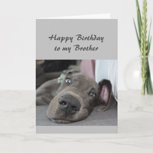 Birthday to my Brother Fun Dog Relax Humor Kaart (Voorkant)