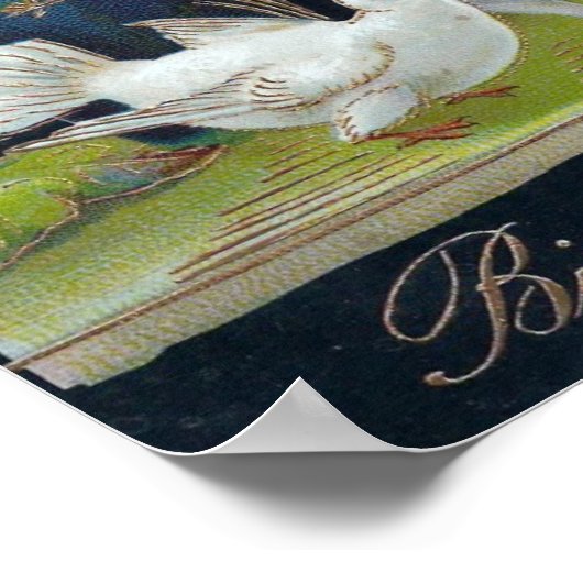 Birthday Vase en Doves Poster (Hoek)