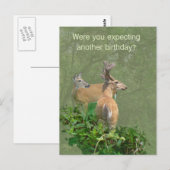 Birthday Whitetail Deer Buck & Doe Briefkaart (Voorkant / Achterkant)