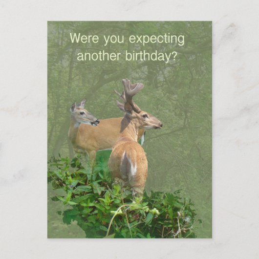 Birthday Whitetail Deer Buck & Doe Briefkaart (Voorkant)
