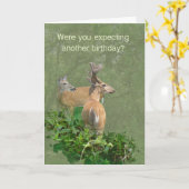 Birthday Whitetail Deer Buck & Doe Kaart (Gele Bloem)