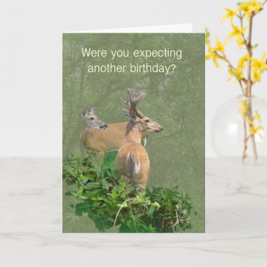 Birthday Whitetail Deer Buck & Doe Kaart (Gele Bloem)