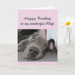 Birthday Wife Fun Dog definitie van Relax Humor Kaart<br><div class="desc">Happy Birthday Wife-definitie van Relax Humor Greeting met schattige ontspannende Great Dane Dog</div>