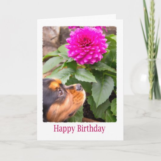 Birthday wil Dahlia en Spaniel Dog Kaart (Voorkant)