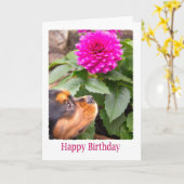 Birthday wil Dahlia en Spaniel Dog Kaart (Gele Bloem)