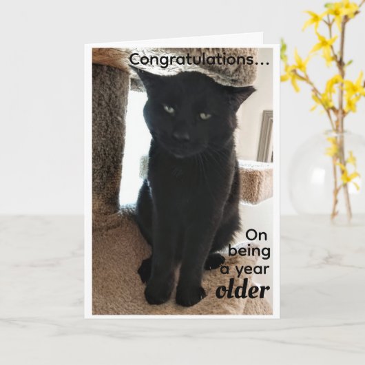 Birthday wil ouderen kaart (Gele Bloem)