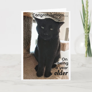 Birthday wil ouderen kaart