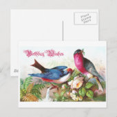 Birthday Wish Briefkaart (Voorkant / Achterkant)