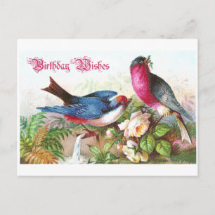 Birthday Wish Briefkaart