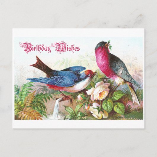 Birthday Wish Briefkaart (Voorkant)