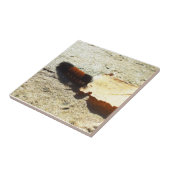 Birthday-Wooly Beer Caterpijler Tegeltje (Zijkant)