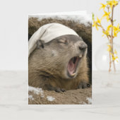 Birthday Yawning Groundhog Wearing a Nightcap Kaart (Gele Bloem)