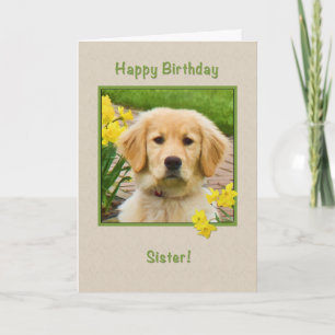 Birthday, zuster, Golden Retriever Dog, Daffodils Kaart
