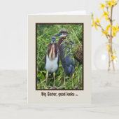 Birthday, zuster, tweekleurige herenkuikens kaart (Gele Bloem)