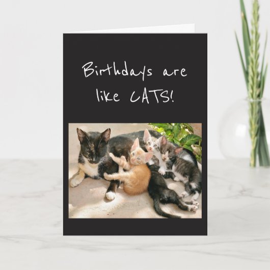 Birthdays is als Cat Animal Humor Kaart (Voorkant)