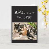 Birthdays is als Cat Animal Humor Kaart (Gele Bloem)
