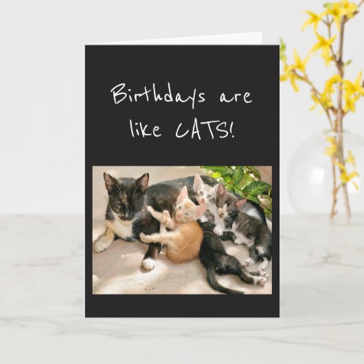Birthdays is als Cat Animal Humor Kaart (Gele Bloem)