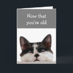 Birthdays more Doctors dan Friends Fun Old Timer Kaart<br><div class="desc">Nu je oud bent,  heb je meer dokters in je contacten dan familie en vrienden. Grappig over de heuvel met een leuke kat die naar je kijkt.</div>