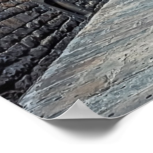 Bisabbrug Poster (Hoek)