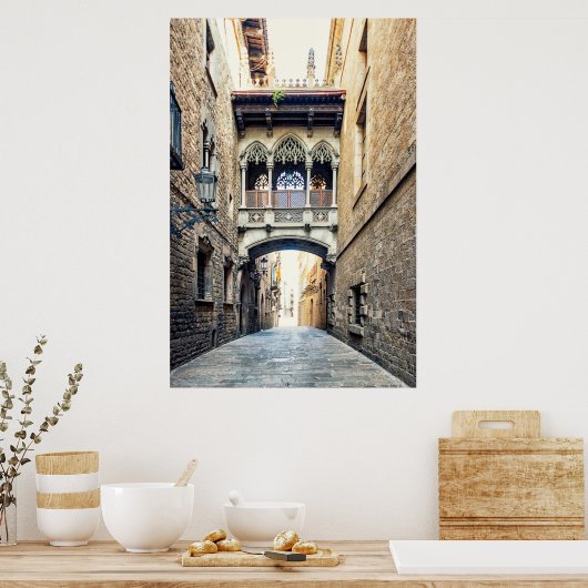 Bisabbrug Poster (Keuken)