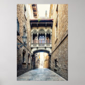 Bisabbrug Poster (Voorkant)