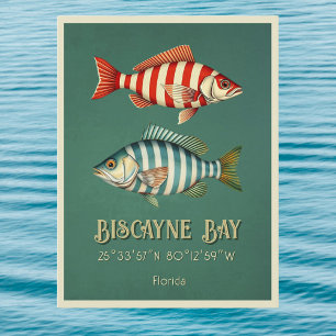 Biscayne Bay Florida vis Briefkaart