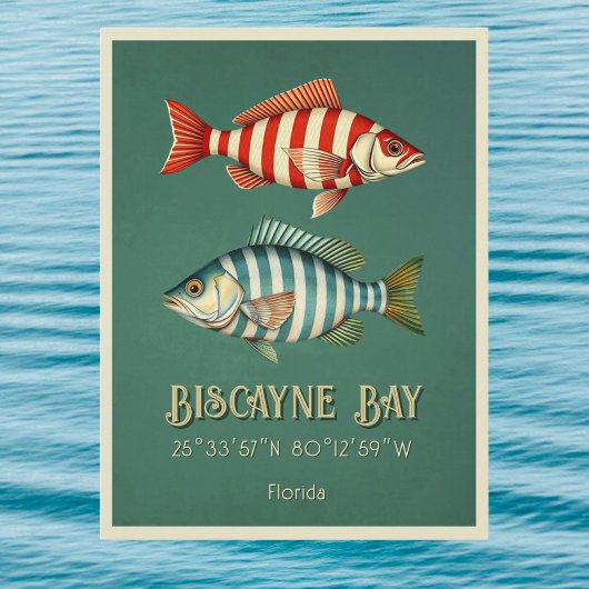 Biscayne Bay Florida vis Briefkaart