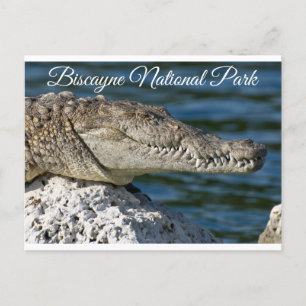 Biscayne Bay Park Miami Beach Florida Briefkaart
