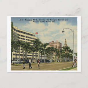 Biscayne Blvd. Hotels, Miami, Vintage van Florida Briefkaart