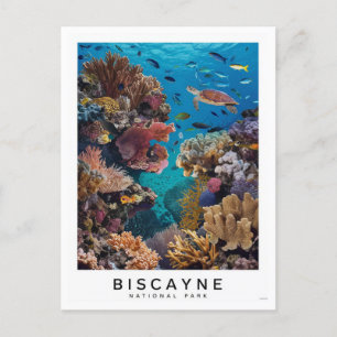 Biscayne National Park Coral Briefkaart