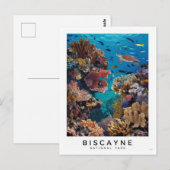 Biscayne National Park Coral Briefkaart (Voorkant / Achterkant)