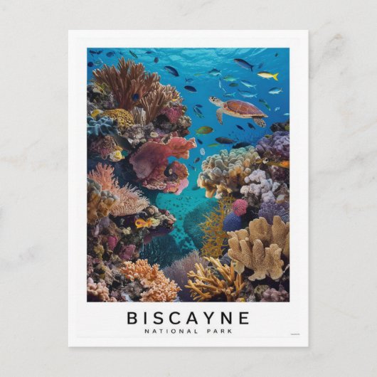 Biscayne National Park Coral Briefkaart (Voorkant)