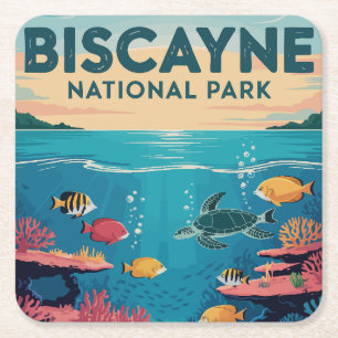 Biscayne National Park Florida Wateren Verkennen Kartonnen Onderzetters