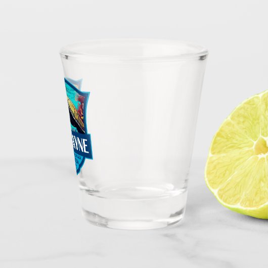 Biscayne National Park Turtle Illustratie Retro Shot Glas (Rechts)