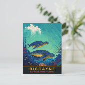 Biscayne, Schildpadden Onderwater, Florida, Reizen Briefkaart (Staand voorkant)