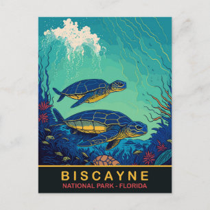 Biscayne, Schildpadden Onderwater, Florida, Reizen Briefkaart