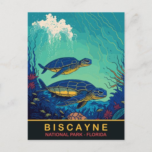 Biscayne, Schildpadden Onderwater, Florida, Reizen Briefkaart (Voorkant)