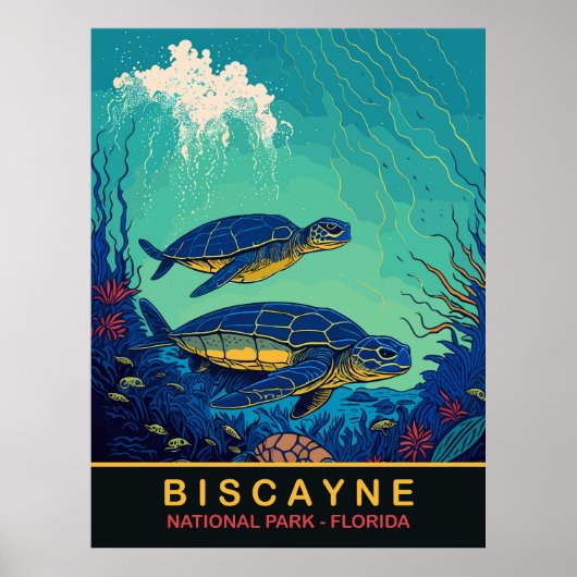 Biscayne, Schildpadden Onderwater, Florida, Reizen Poster (Voorkant)