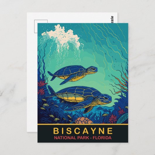Biscayne, Turtles Onderwater, Florida, Reizen Briefkaart (Voorkant / Achterkant)