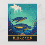Biscayne, Turtles Onderwater, Florida, Reizen Briefkaart (Voorkant)