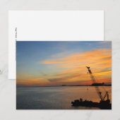 Biscayne-zonnekaartje (Voorkant / Achterkant)