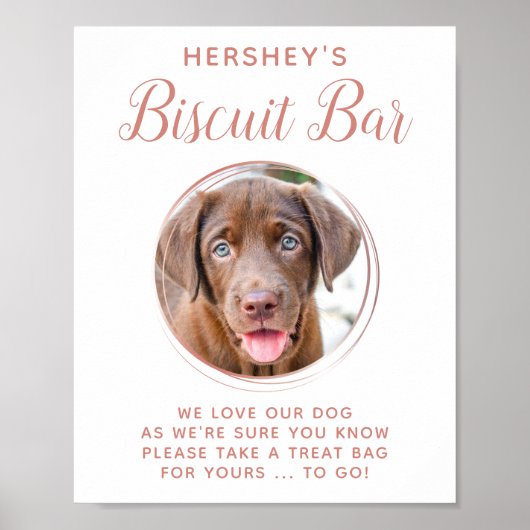 Biscuit Bar Pet Foto Roos Gold Dog Weddenschap Poster (Voorkant)