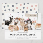 Biscuits & Pup Cakes Dog's Verjaardagsfeest Kaart (Voorkant / Achterkant)