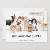 Biscuits & Pup Cakes Dog's Verjaardagsfeest Kaart (Voorkant)