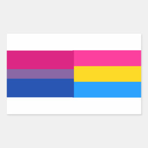 Biseksuele/panseksuele vlagstickers rechthoekige sticker