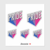 Biseksuele Pride Burst Sticker (Vel)